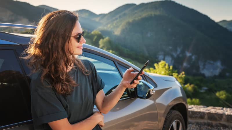 Manage Your Rego